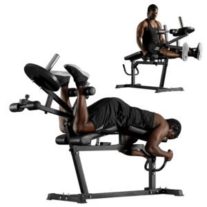 Leg Extension and Lying Curl Machine